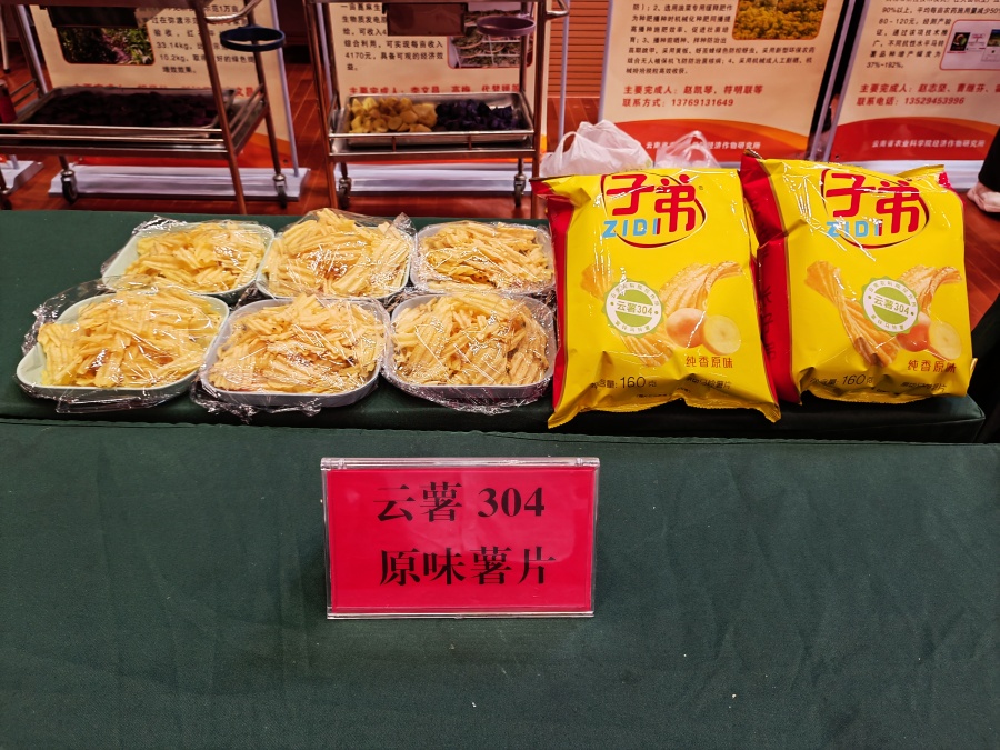 “云薯304”入选农业农村部2024年农业主导品种_新华网(图2)