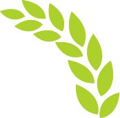 丰收在望！哈尔滨市三大粮食作物长势良好