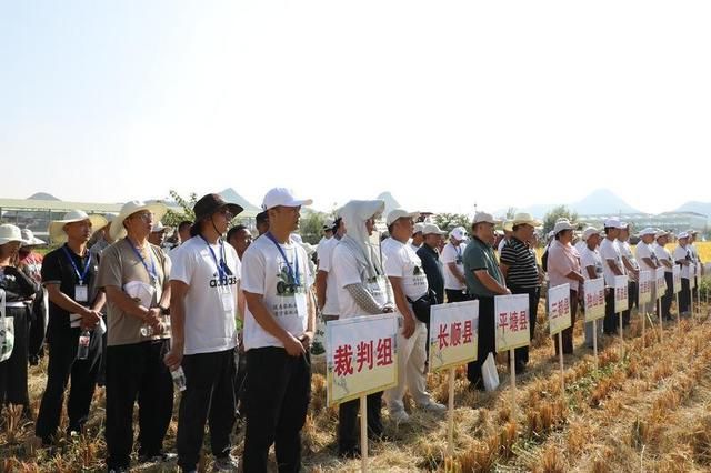 黔南州2024年粮食作物(水稻)机收减损