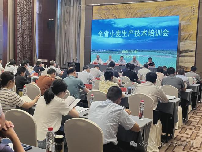 2024年秋季粮油作物机收减损与农机生产技术网络培训举办省农业技术推广总站举办全省小麦生产培训会(图3)