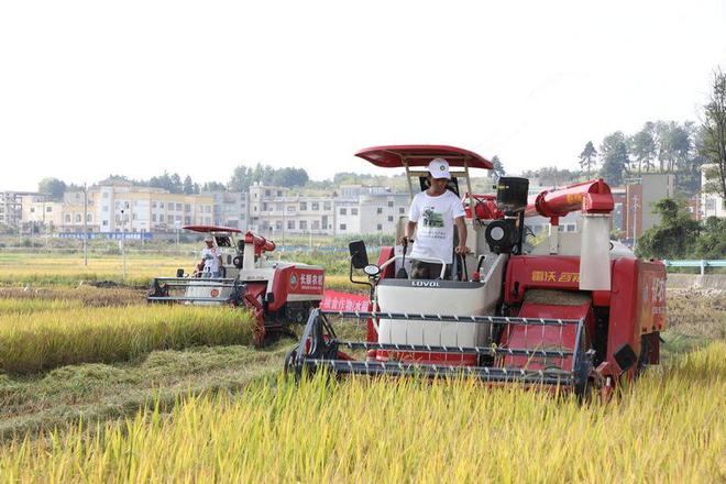 黔南州2024 年粮食作物（水稻）机收减损大比武活动在长顺举行(图4)