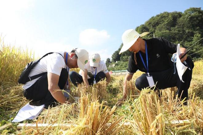 黔南州2024 年粮食作物（水稻）机收减损大比武活动在长顺举行(图5)