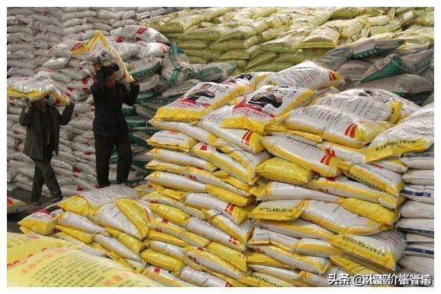今日、复合肥、磷铵、钾肥价格行情2024年1月29日