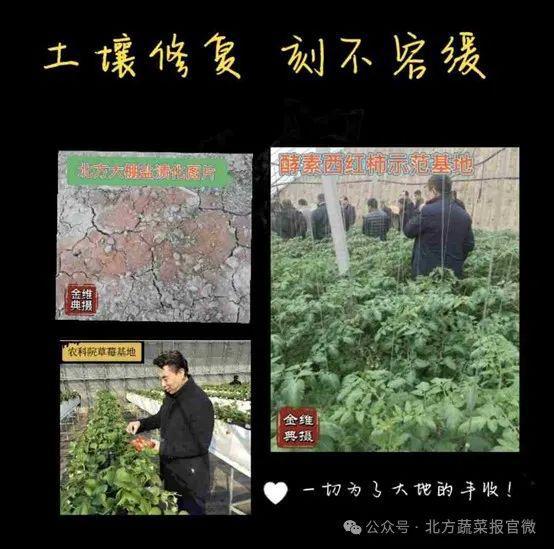 专家谈⑨农作物高产优质解决方案(图3)