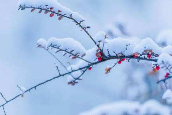 K8国际入口今天立冬了2024年冬天雨雪多不多？农谚有话说(图3)