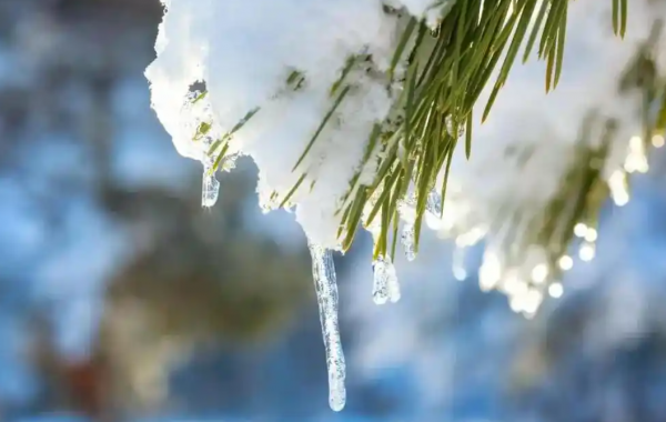 K8国际入口今天立冬了2024年冬天雨雪多不多？农谚有话说(图2)