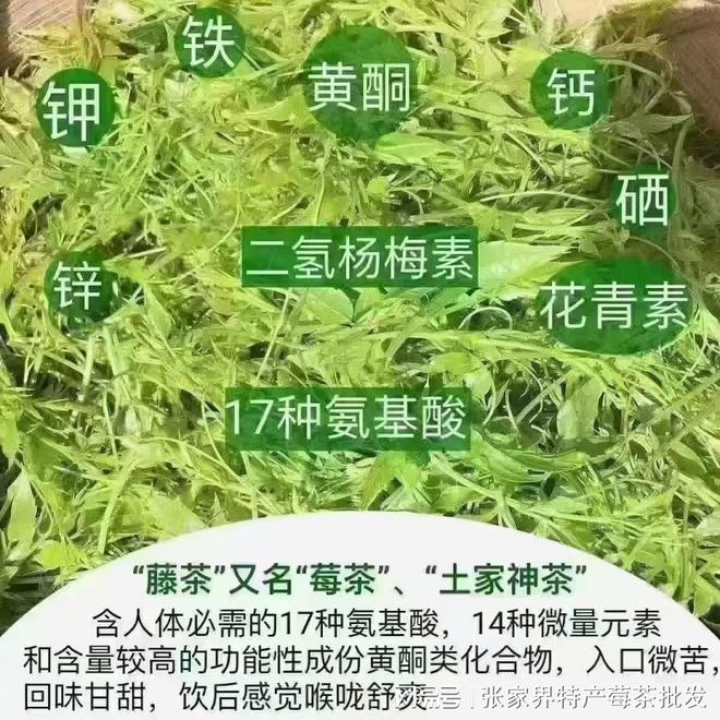 凯发国际首页张家界莓茶多少钱一斤土家莓茶的价格多少钱一斤看完不踩坑省钱