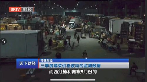 知名经济学家杜帅评论：蔬菜价格为何波动剧烈？(图2)