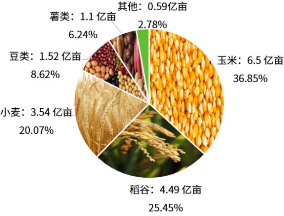 带你了解我国主要农作物种植面积(图3)