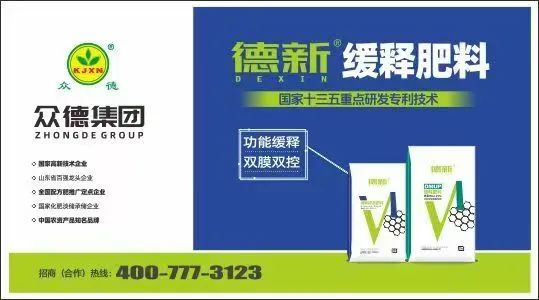 短期国际化肥市场行情如何？谁是国际化肥市场的“顶梁柱”？