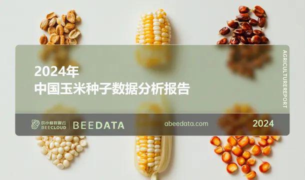2024年中国玉米种子数据分析简报