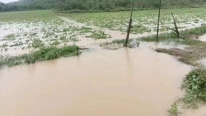 人与自然气候变化城乡食农种植丰年庆2024展凯发国际览一览(图3)