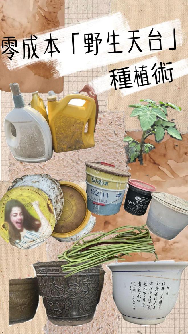 人与自然气候变化城乡食农种植丰年庆2024展凯发国际览一览(图8)
