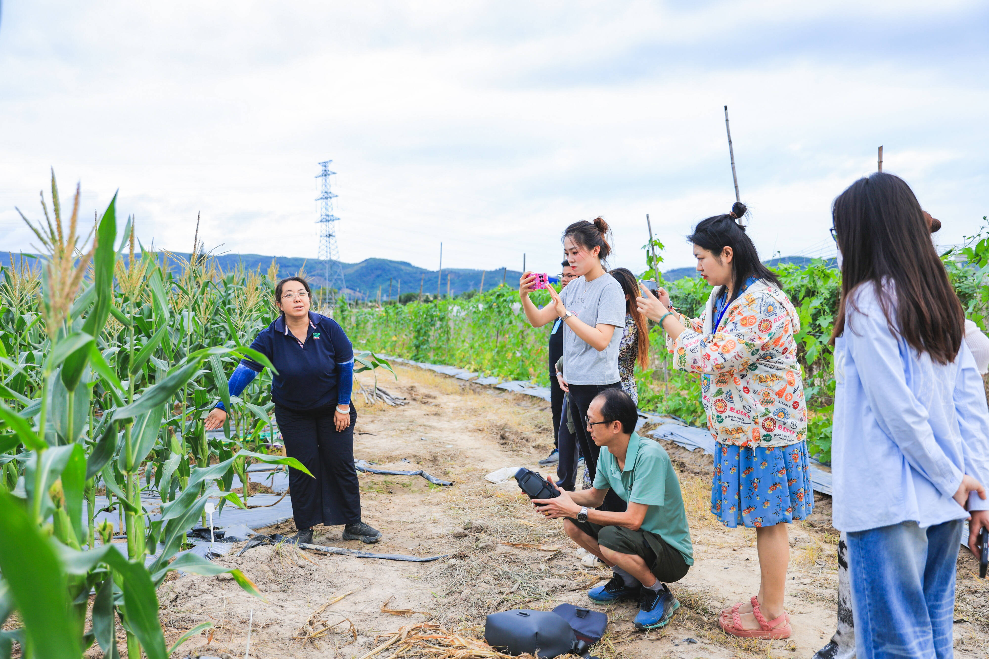 提升品种“含新量”撬动市场“含金量”“2024年全国重点网络媒体海垦行”走进海南农垦南繁育种基地