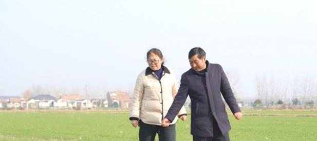 南京厚建软件LivCMS内容管理系统http：K8国际入口wwwhogesoftcom授权用户：ht