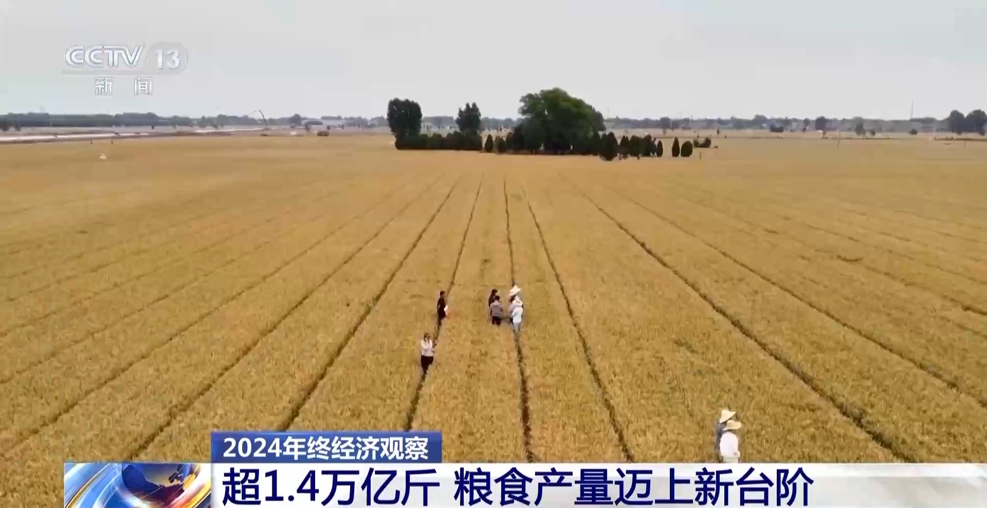2024年终观察丨今年我国粮食凯发国际产量首次突破14万亿斤