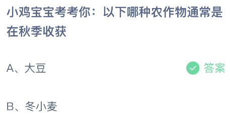 以下哪种农作物通K8国际入口常是在秋季收获？蚂蚁庄园今日答案最新1026(图2)