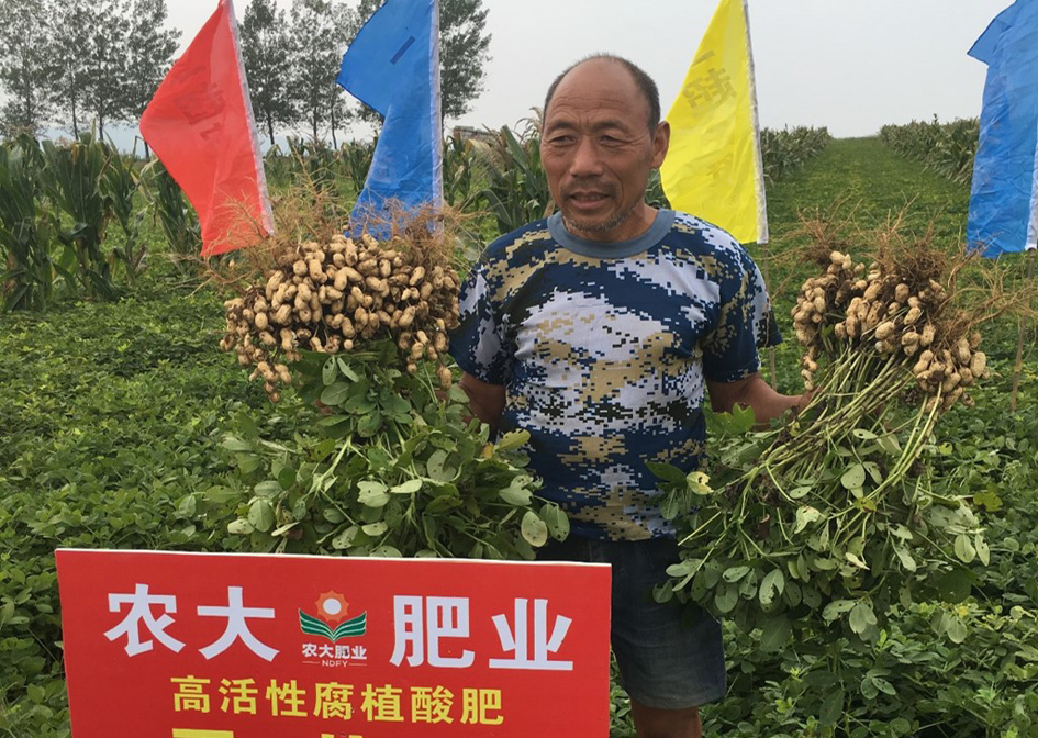 新三板挂牌不足4个月农大科技闯关北交所