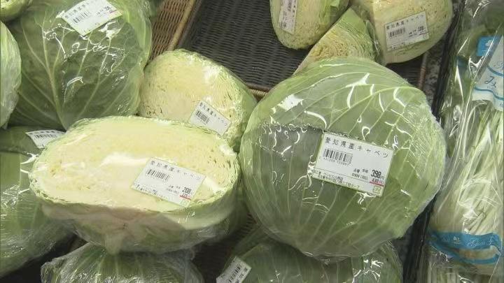 日本农田800棵卷心菜被盗农户报警！此前价格涨至去年同期3倍