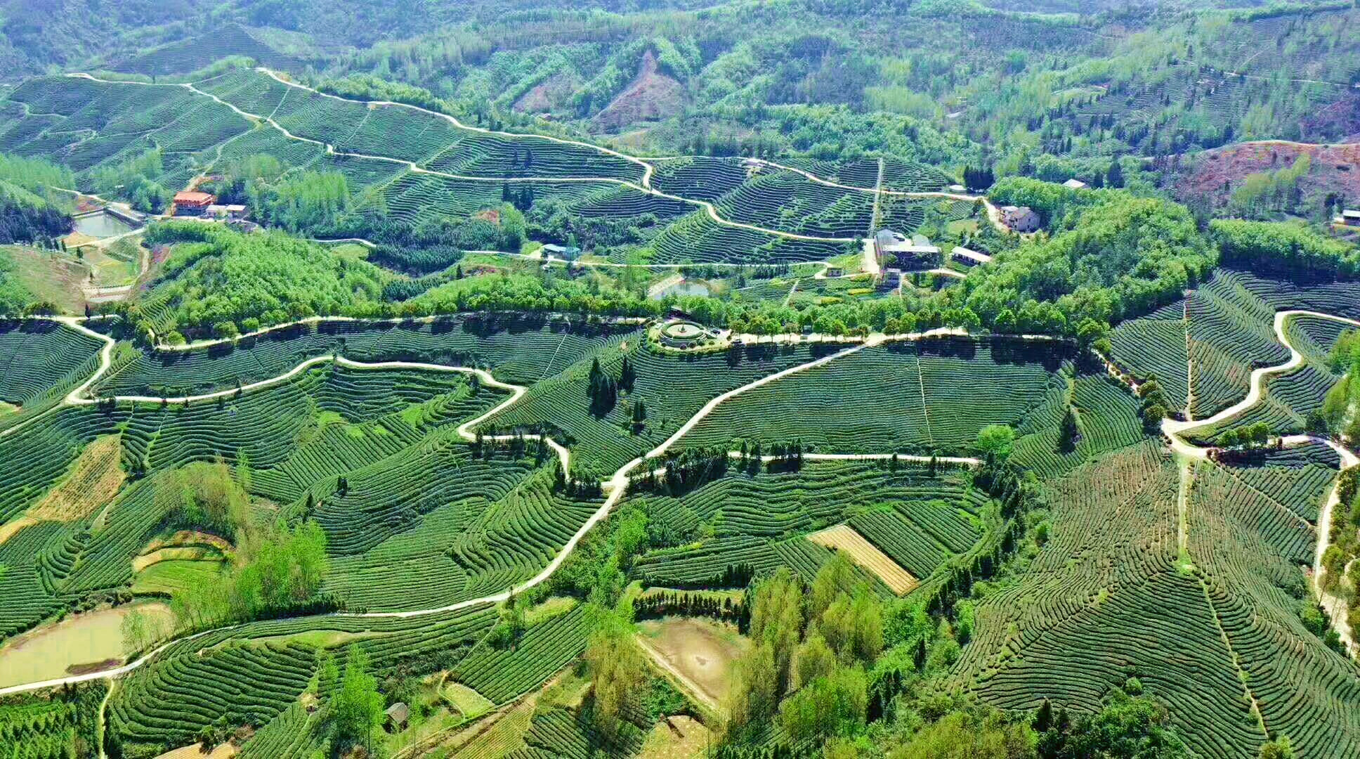 凯发国际绿水青山生金辉解码湖北堰河村的致富经(图2)