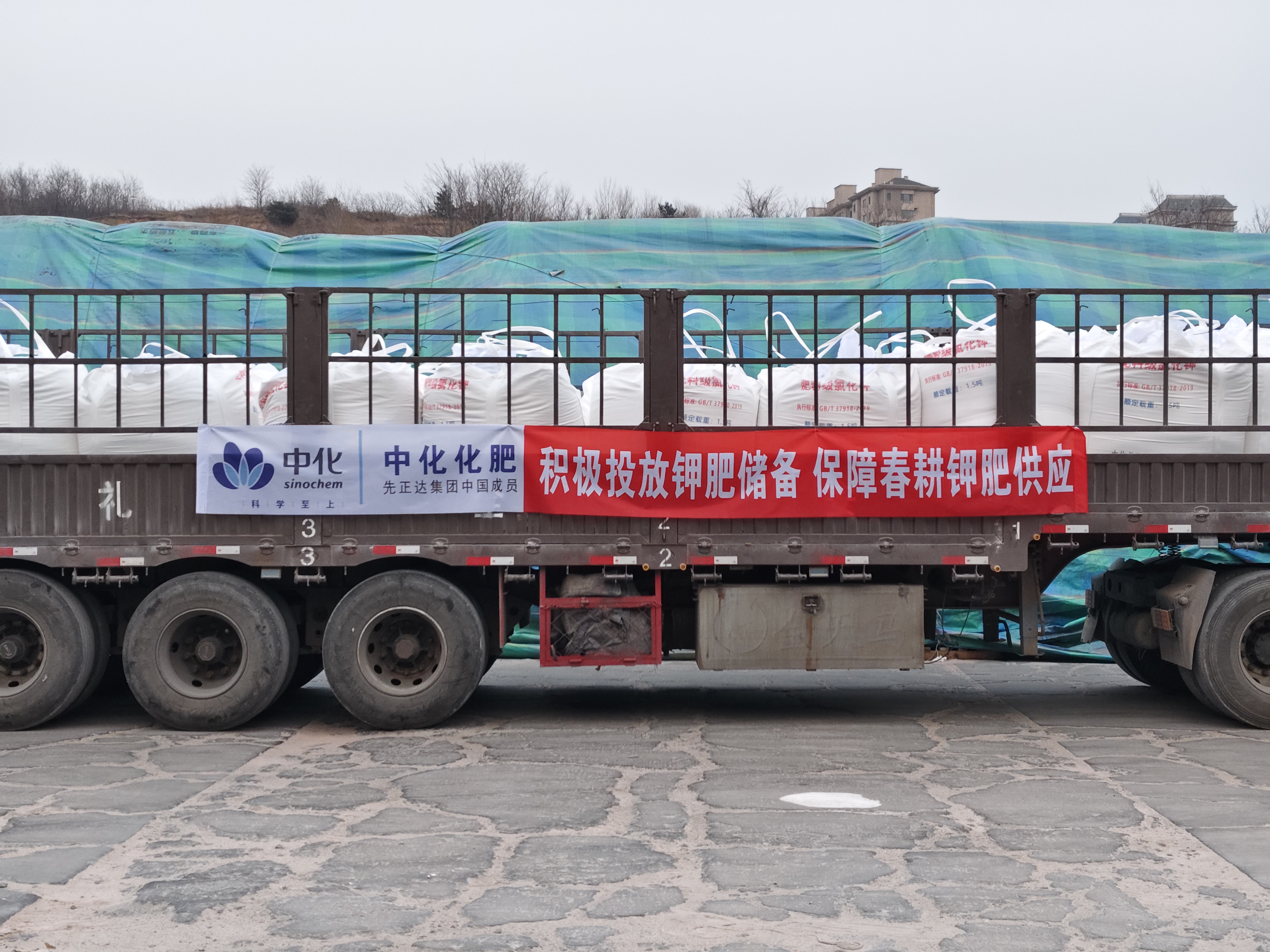 中国中化全力凯发国际确保钾肥量足价稳为春耕生产保驾护航