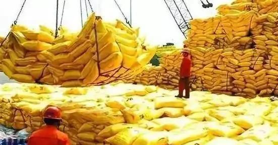 2024年中印化肥产量K8国际入口差距断崖：印度年产4520万吨中国是多少呢？(图12)