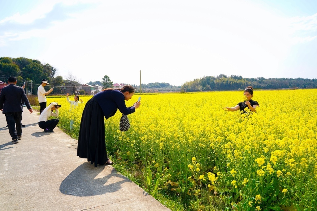 江西抚州：“一朵凯发国际花”激活“全域美”(图3)