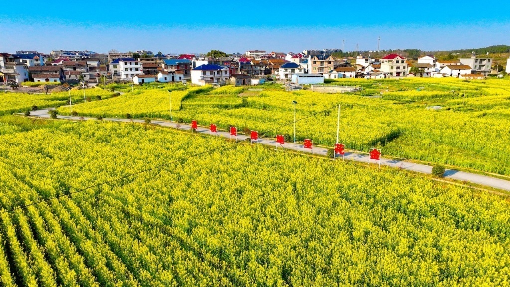 江西抚州：“一朵凯发国际花”激活“全域美”(图2)