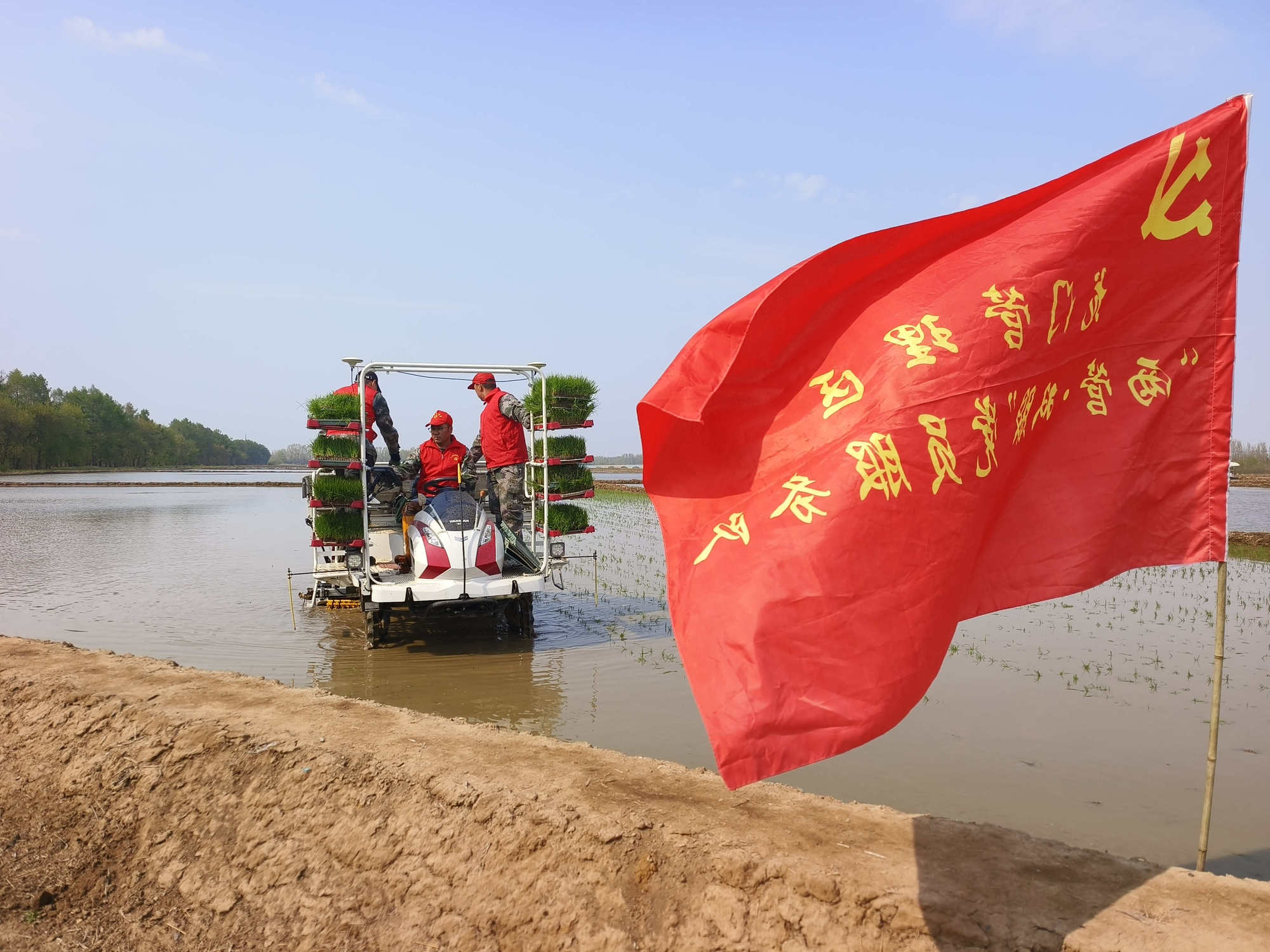 聚焦北大荒绥滨农场：沃野绘新景实干开新局(图4)
