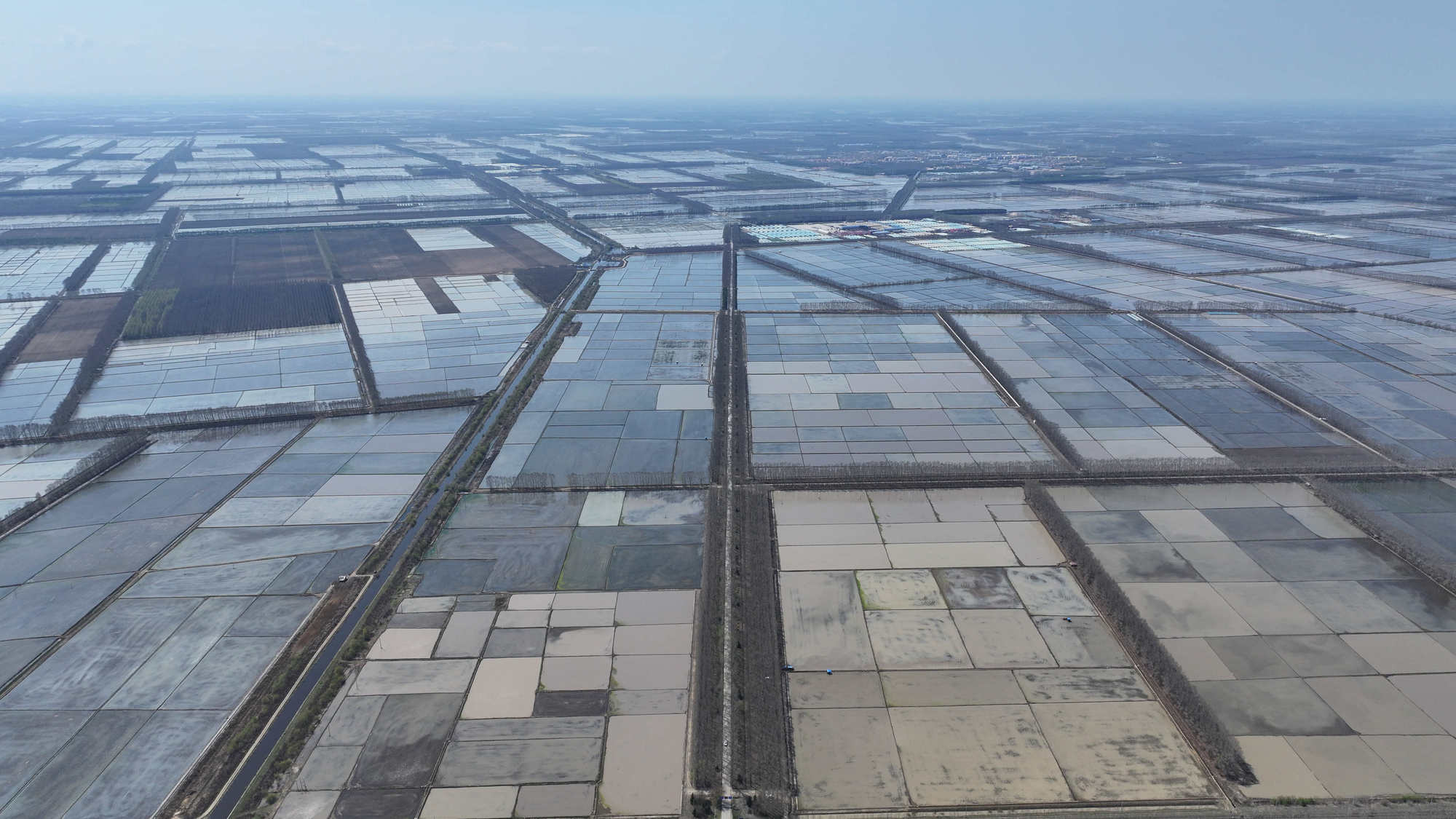 聚焦北大荒绥滨农场：沃野绘新景实干开新局(图2)