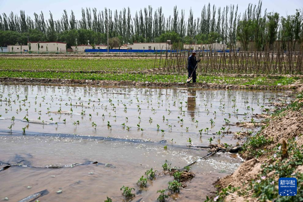 凯发国际首页从盐碱荒滩到塞外粮仓：河套灌区探寻耕地保护“密码”(图3)