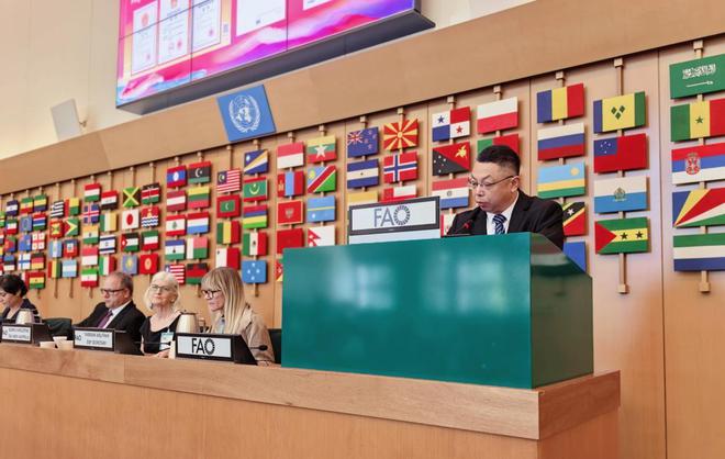 金正大缓控释肥技术出海中国“膜”法闪耀联合国粮农组织GSP大会(图2)