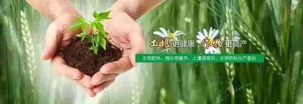 2025年生物肥行业趋势与市场前凯发国际首页景、政策分析！