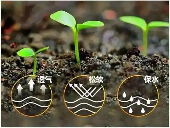 2025年生物肥行业趋势与市场前凯发国际首页景、政策分析！(图3)
