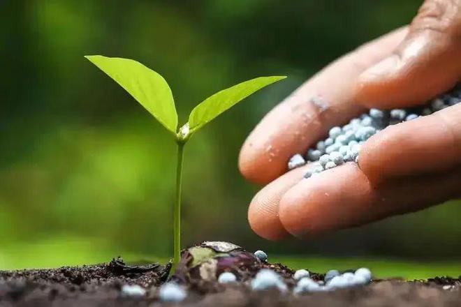 2025年生物肥行业趋势与市场前凯发国际首页景、政策分析！(图2)