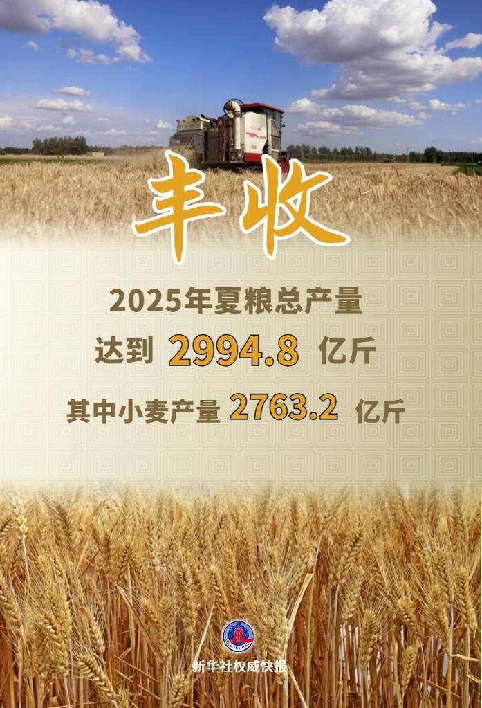 29948亿斤！2025年夏粮“成绩单”出炉