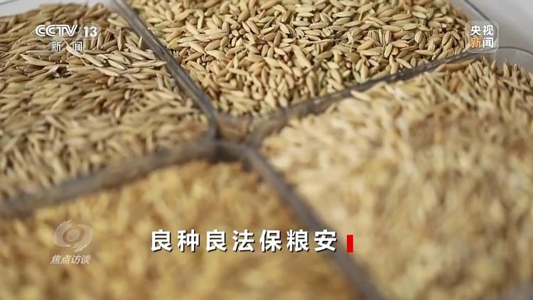 良田+良种+良机法来看山东保丰收秘籍(图5)