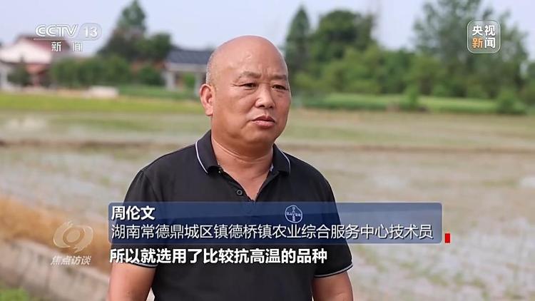 良田+良种+良机法来看山东保丰收秘籍(图3)