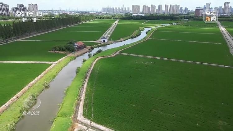 良田+良种+良机法来看山东保丰收秘籍(图8)