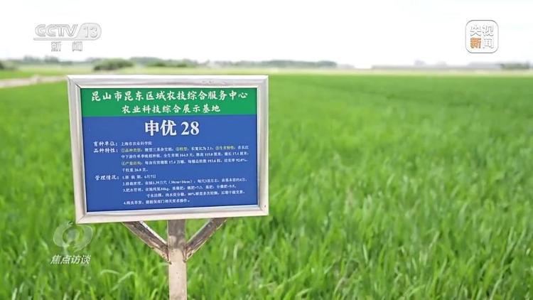 良田+良种+良机法来看山东保丰收秘籍(图9)