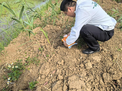 国寿财险广东分公司：抢抓农时护春耕多措并举保生产