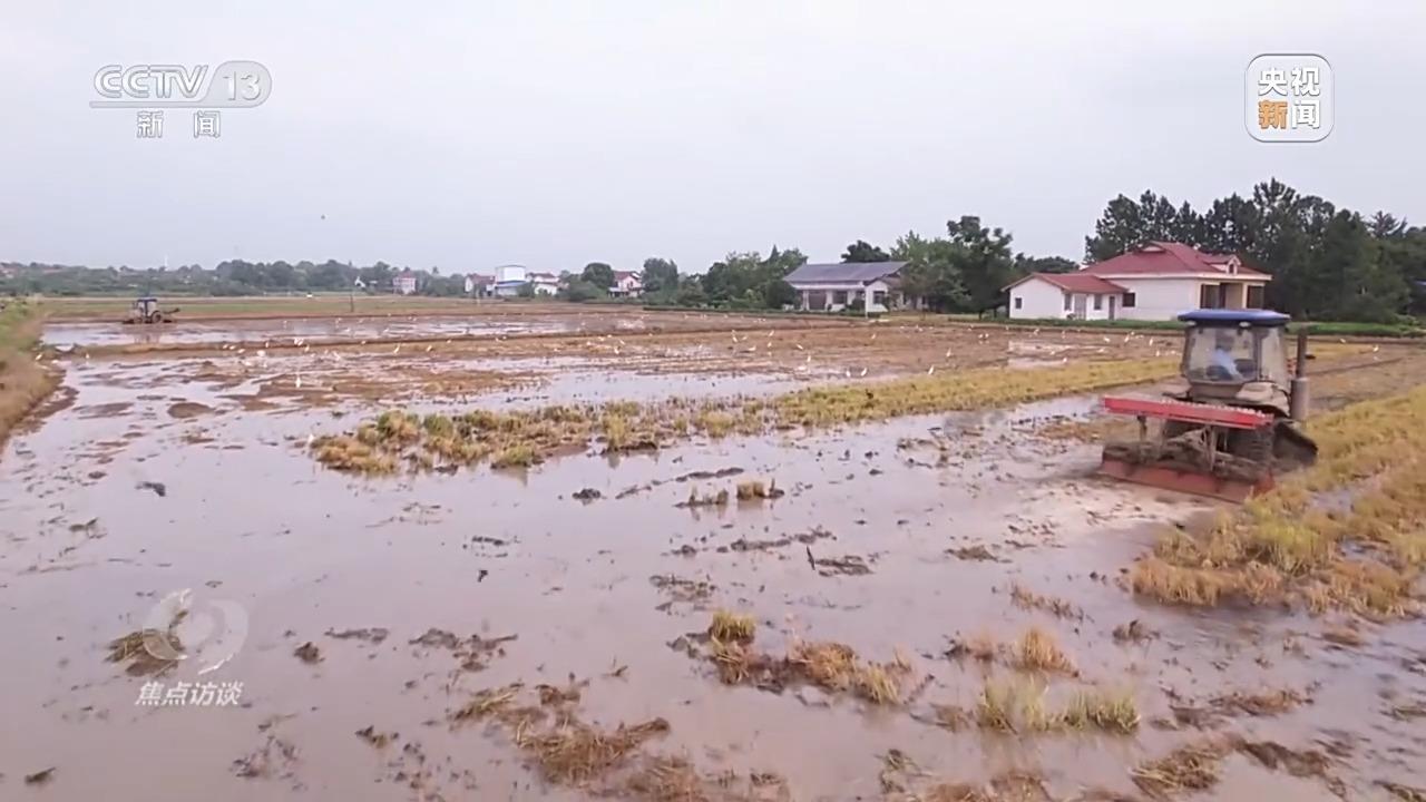 焦点访谈丨良田+良种+良机法来看各地保丰收秘籍