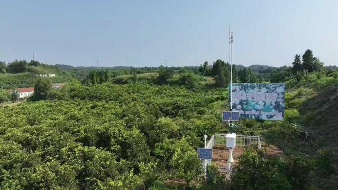 “气象哨兵”驻扎田间地头农作物吃K8国际入口上“数字定心丸”