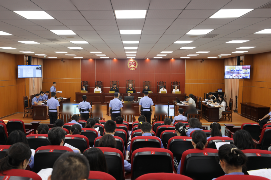 用浸泡过剧毒小鱼绝户式捕杀6000多只“三有”鸟类16人判刑凯发国际首页(图3)